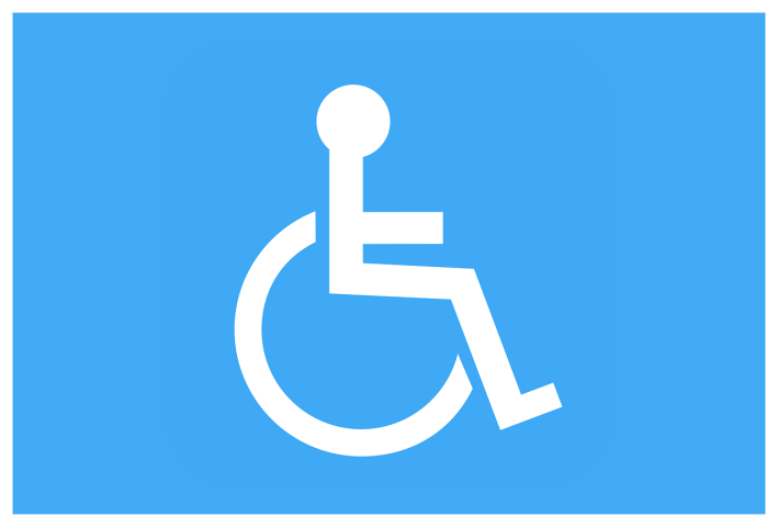 104 Carta Europea della Disabilità