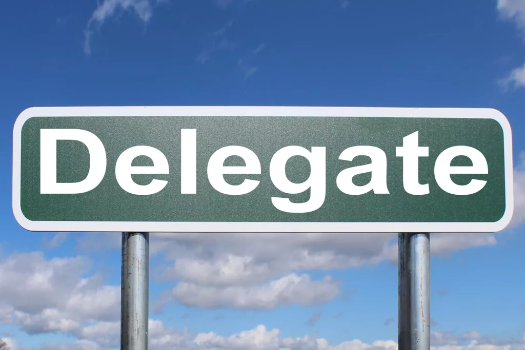 delega persona fiducia