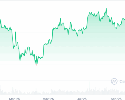 Balene dietro il tonfo di Bitcoin