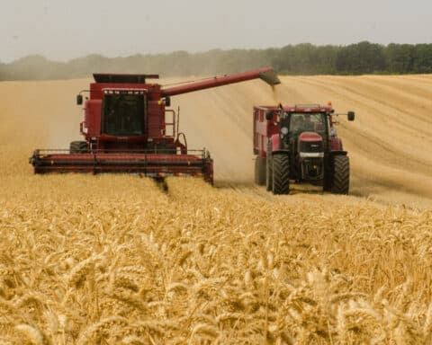 Accordo tra UE e Mercosur a rischio