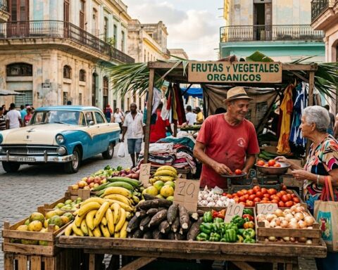 Riforme contro crisi a Cuba